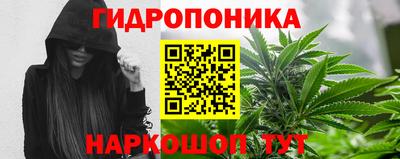 шишки Балахна