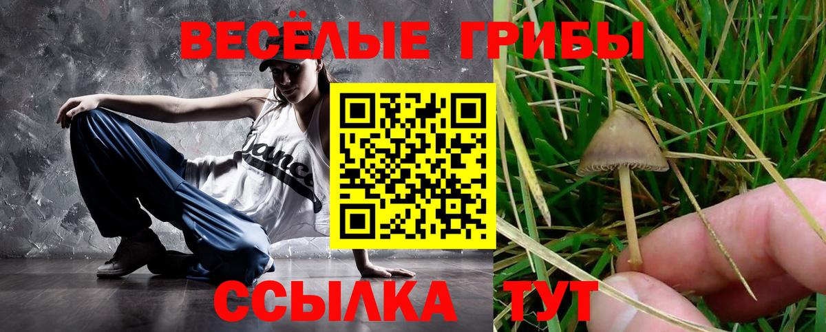 Галлюциногенные грибы ЛСД Гусиноозёрск